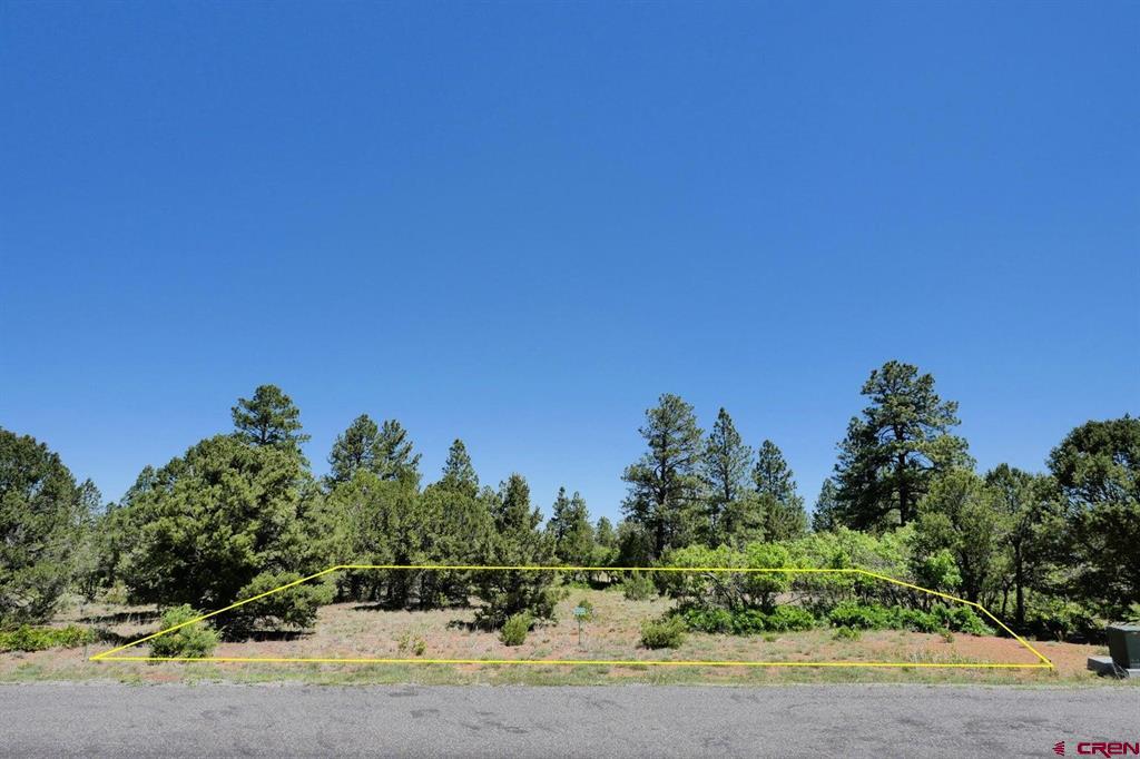 1640 Marmot Drive Ridgway CO 81432