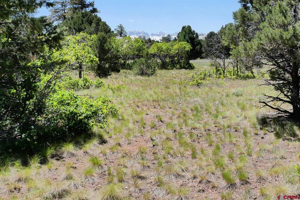 1640 Marmot Drive Ridgway CO 81432