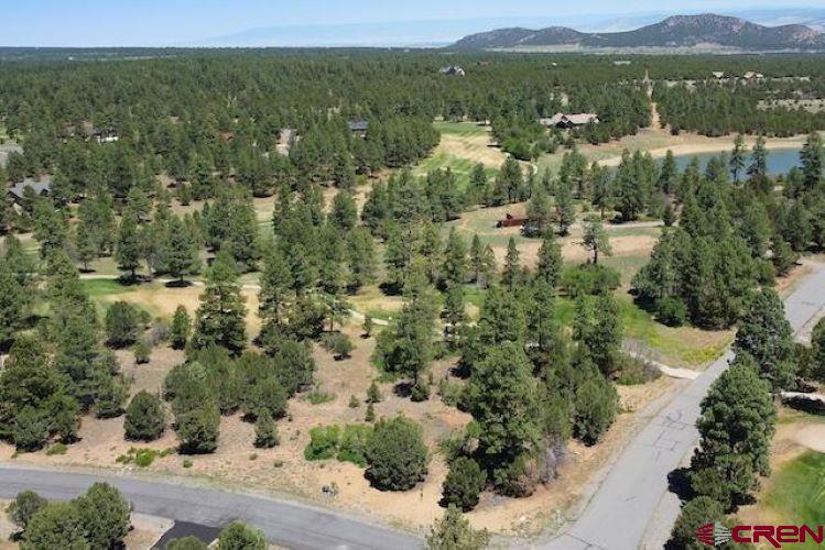 1640 Marmot Drive Ridgway CO 81432