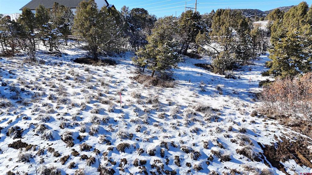 63 Salt Brush Street Durango CO 81301