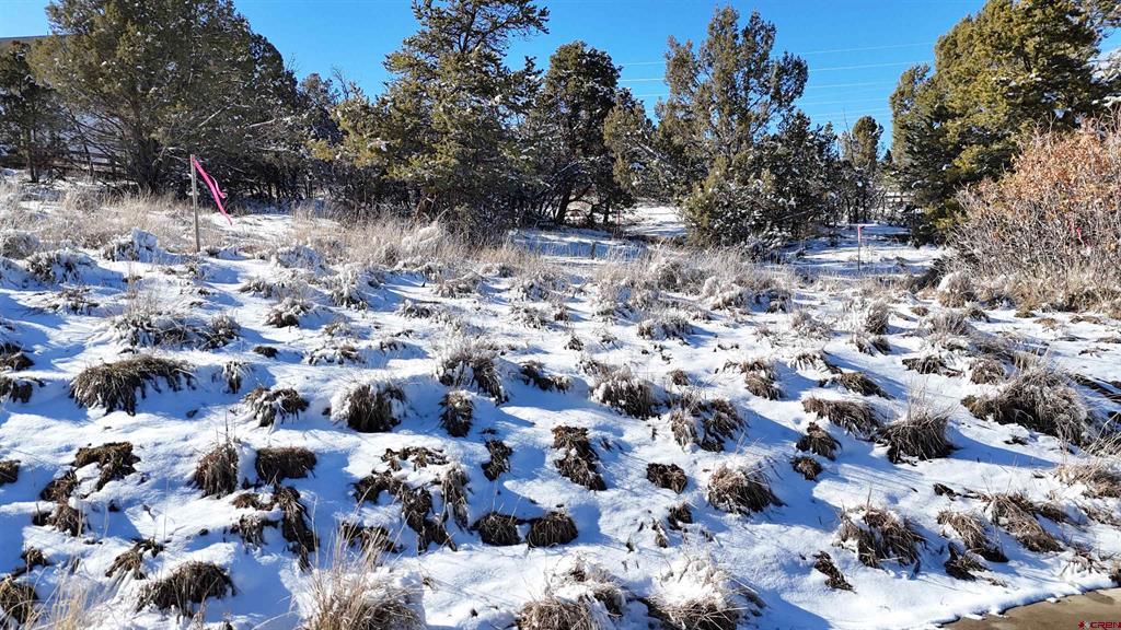 63 Salt Brush Street Durango CO 81301
