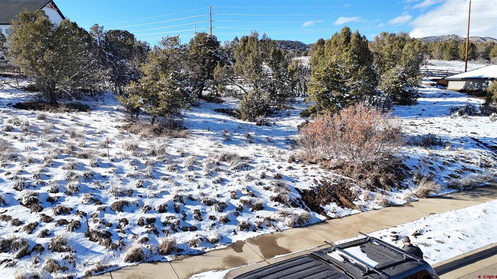 63 Salt Brush Street Durango CO 81301