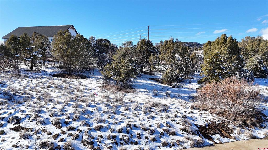 63 Salt Brush Street Durango CO 81301