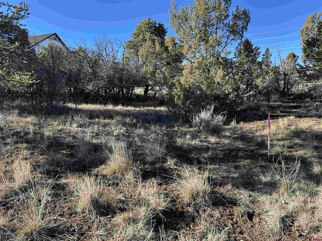 63 Salt Brush Street Durango CO 81301