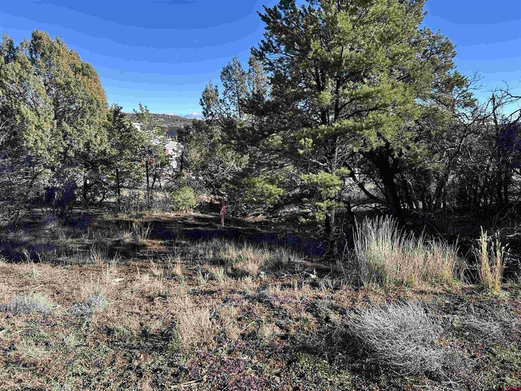 63 Salt Brush Street Durango CO 81301