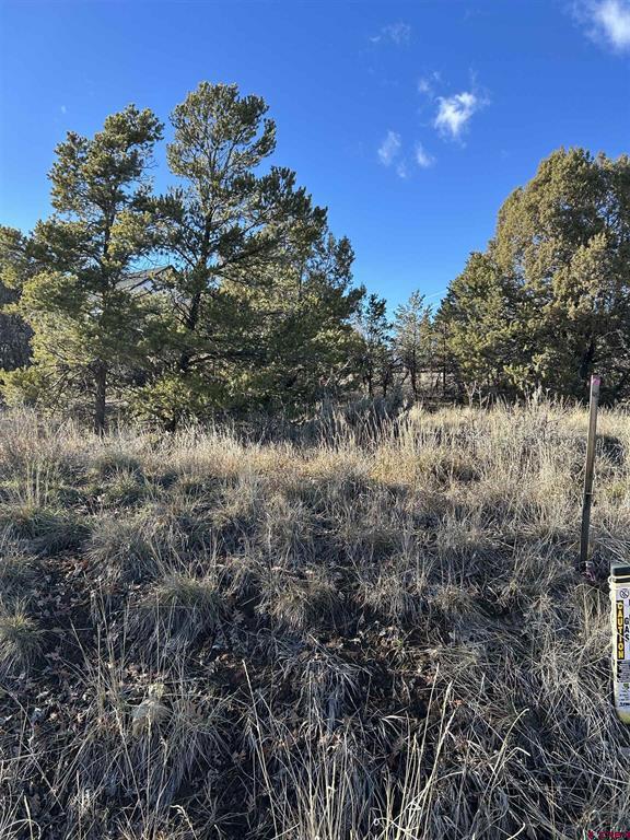 63 Salt Brush Street Durango CO 81301