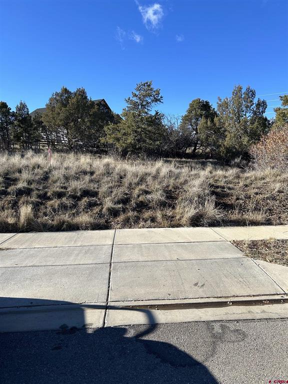 63 Salt Brush Street Durango CO 81301