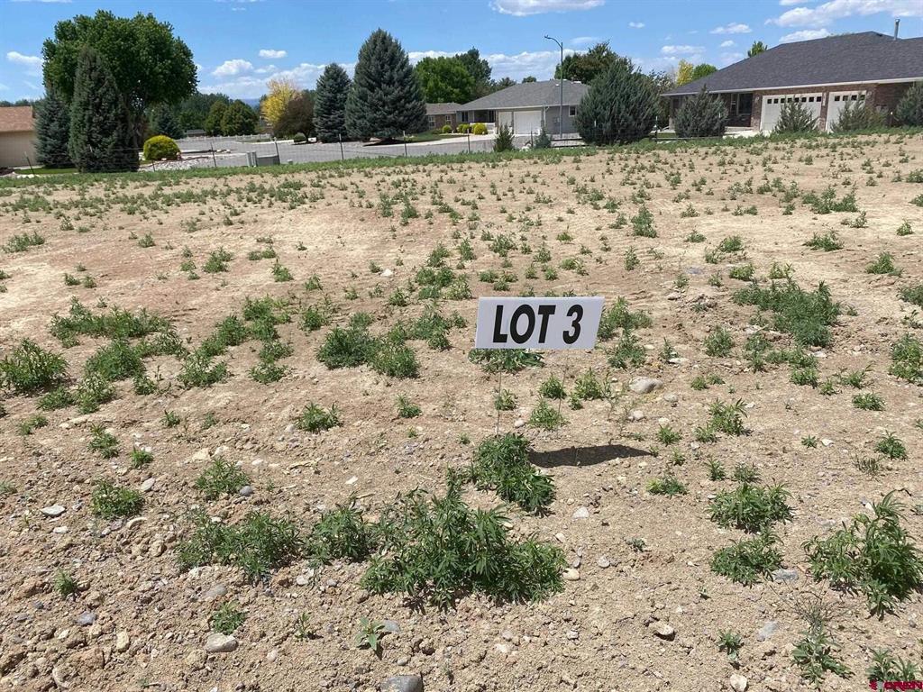 Lot 3 6700 Road Montrose CO 81401