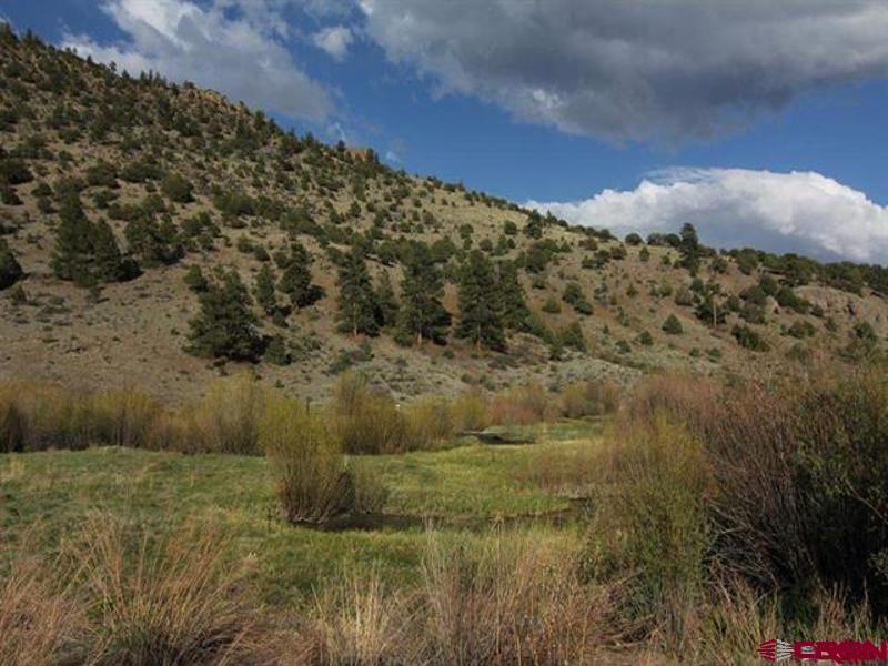80 N Alder Creek Lane South Fork CO 81154