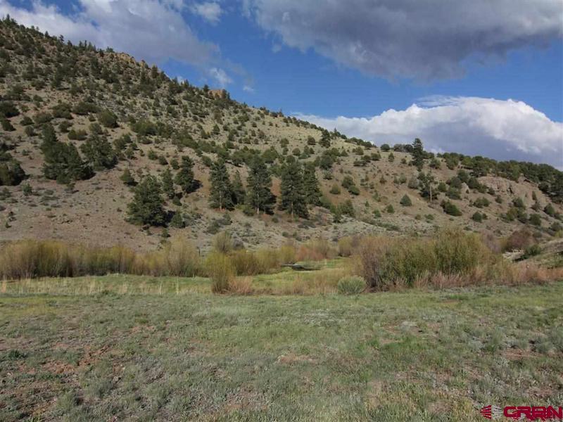 80 N Alder Creek Lane South Fork CO 81154