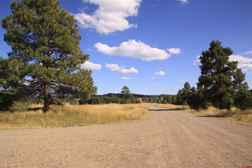 444 Prospect Boulevard Pagosa Springs CO 81147