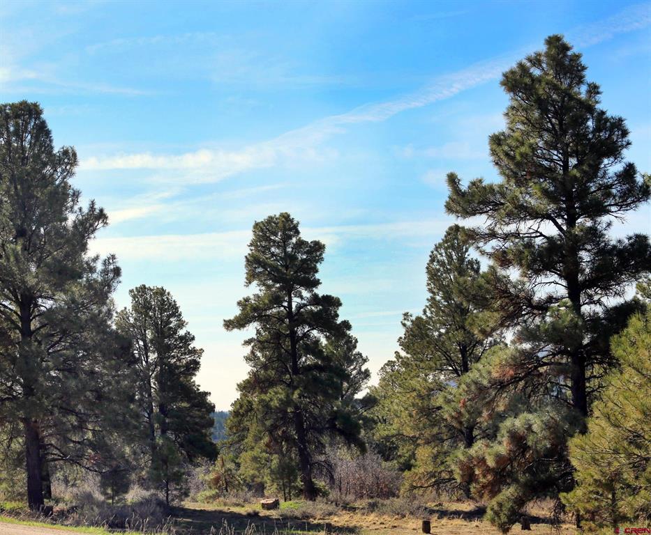 444 Prospect Boulevard Pagosa Springs CO 81147