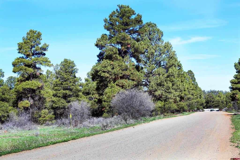 444 Prospect Boulevard Pagosa Springs CO 81147