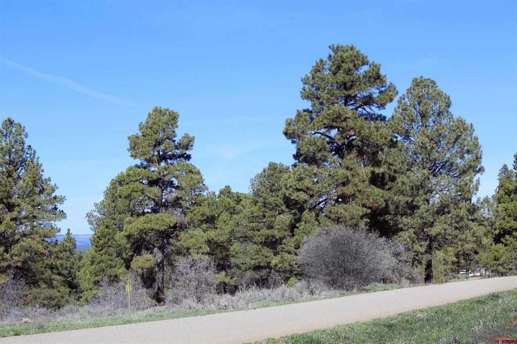 444 Prospect Boulevard Pagosa Springs CO 81147