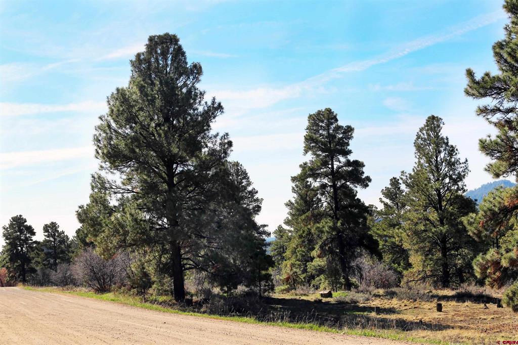 444 Prospect Boulevard Pagosa Springs CO 81147