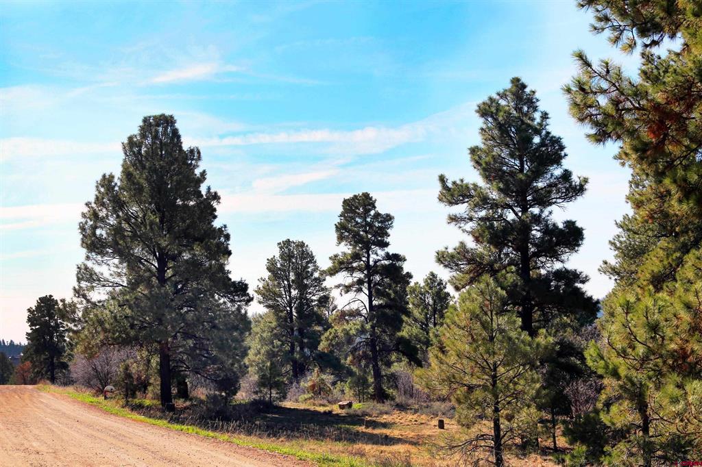 444 Prospect Boulevard Pagosa Springs CO 81147