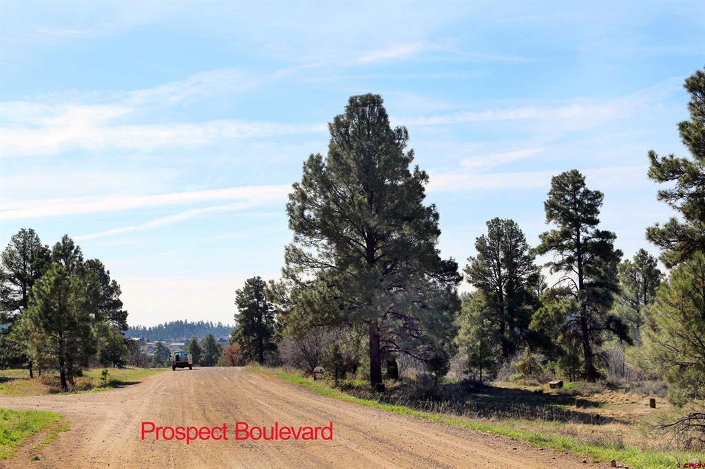 444 Prospect Boulevard Pagosa Springs CO 81147