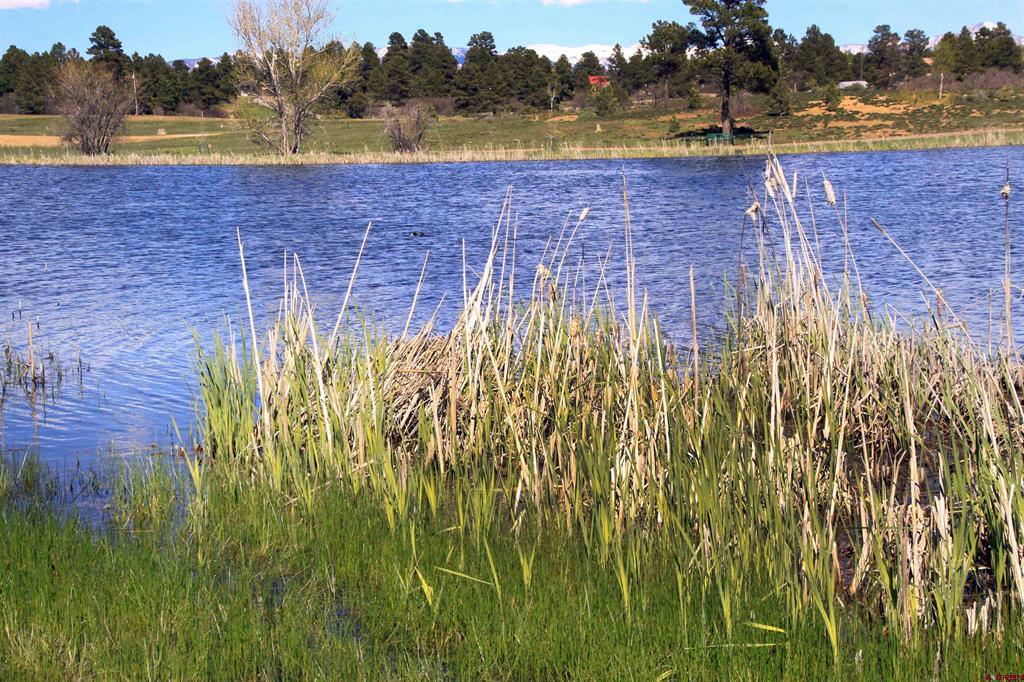 444 Prospect Boulevard Pagosa Springs CO 81147