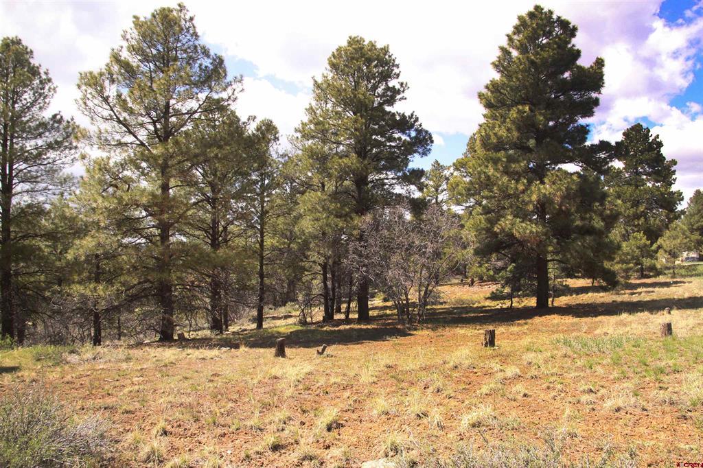 444 Prospect Boulevard Pagosa Springs CO 81147