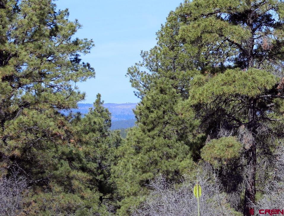 444 Prospect Boulevard Pagosa Springs CO 81147