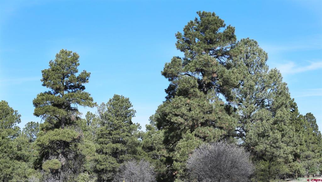 444 Prospect Boulevard Pagosa Springs CO 81147