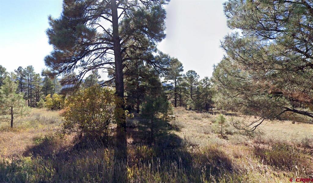 444 Prospect Boulevard Pagosa Springs CO 81147