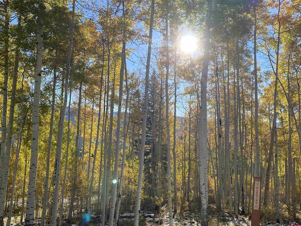 401 Wilshire Drive Durango CO 81301