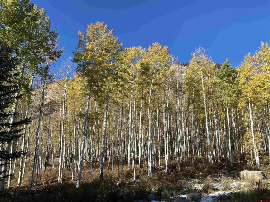 401 Wilshire Drive Durango CO 81301