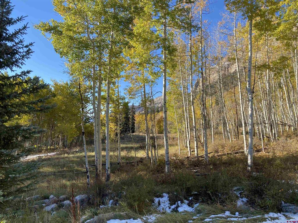 401 Wilshire Drive Durango CO 81301