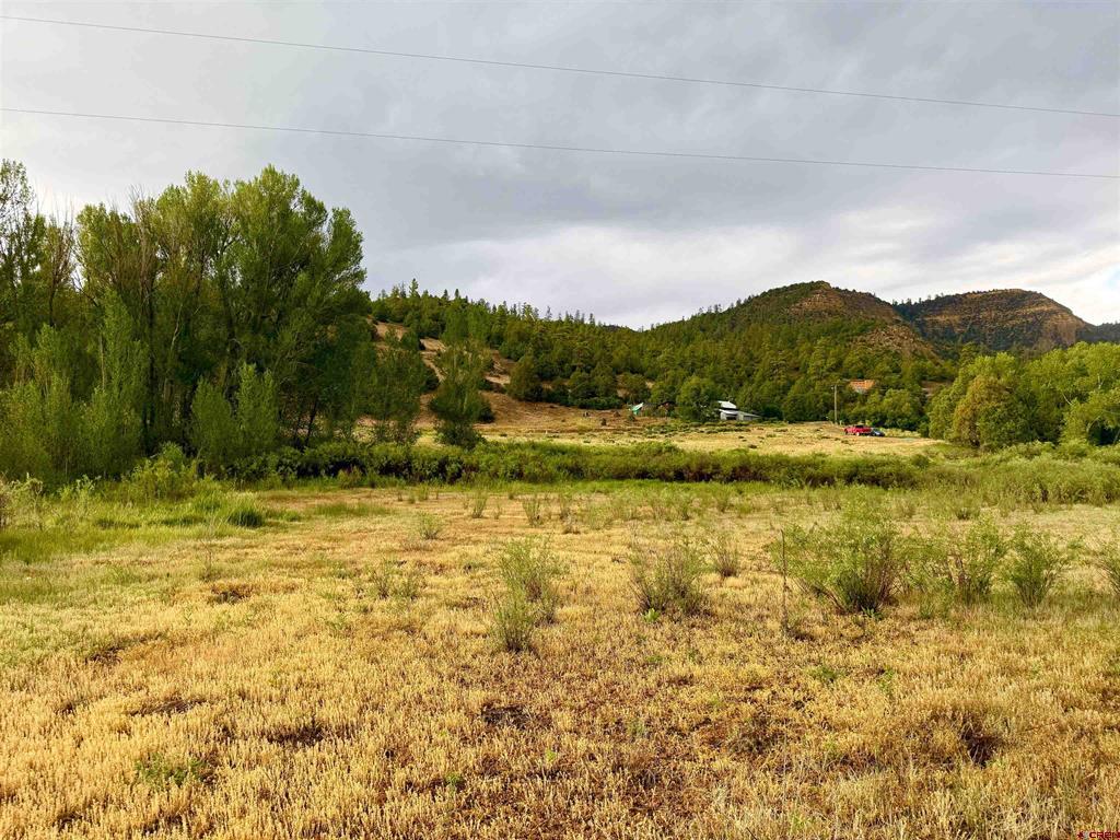 X Caballo Pagosa Springs CO 81147