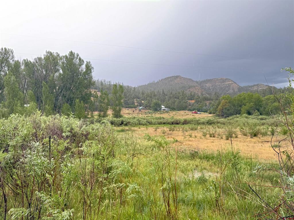 X Caballo Pagosa Springs CO 81147