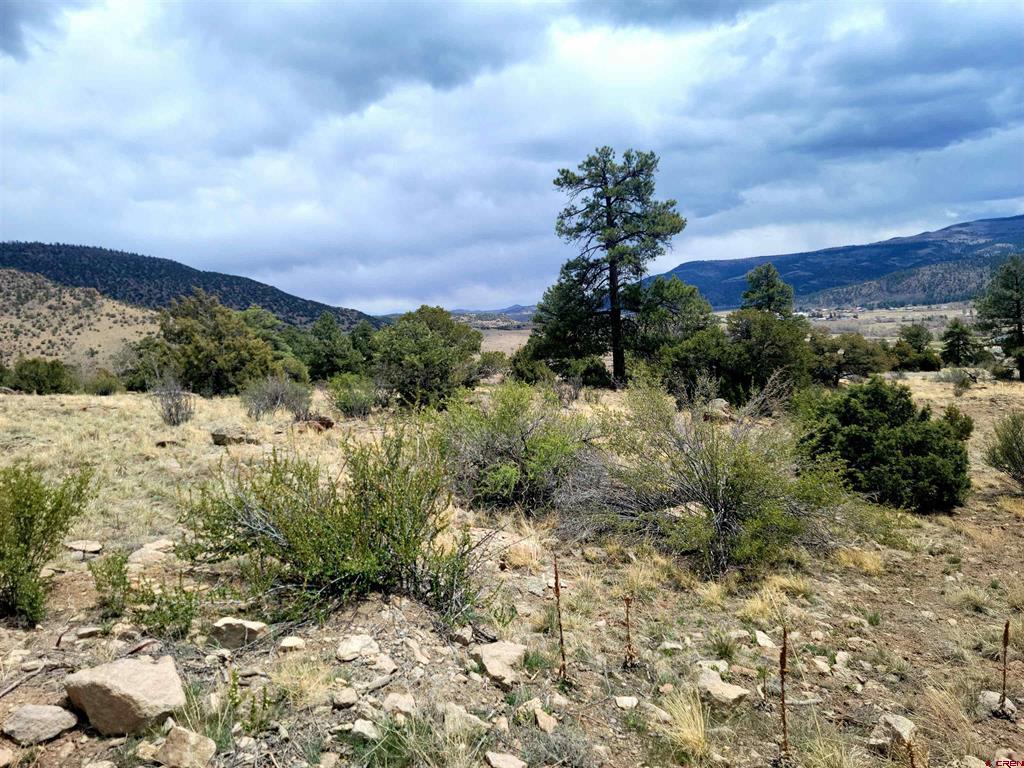 580 Blanca Vista Drive Lot 10 South Fork CO 81154