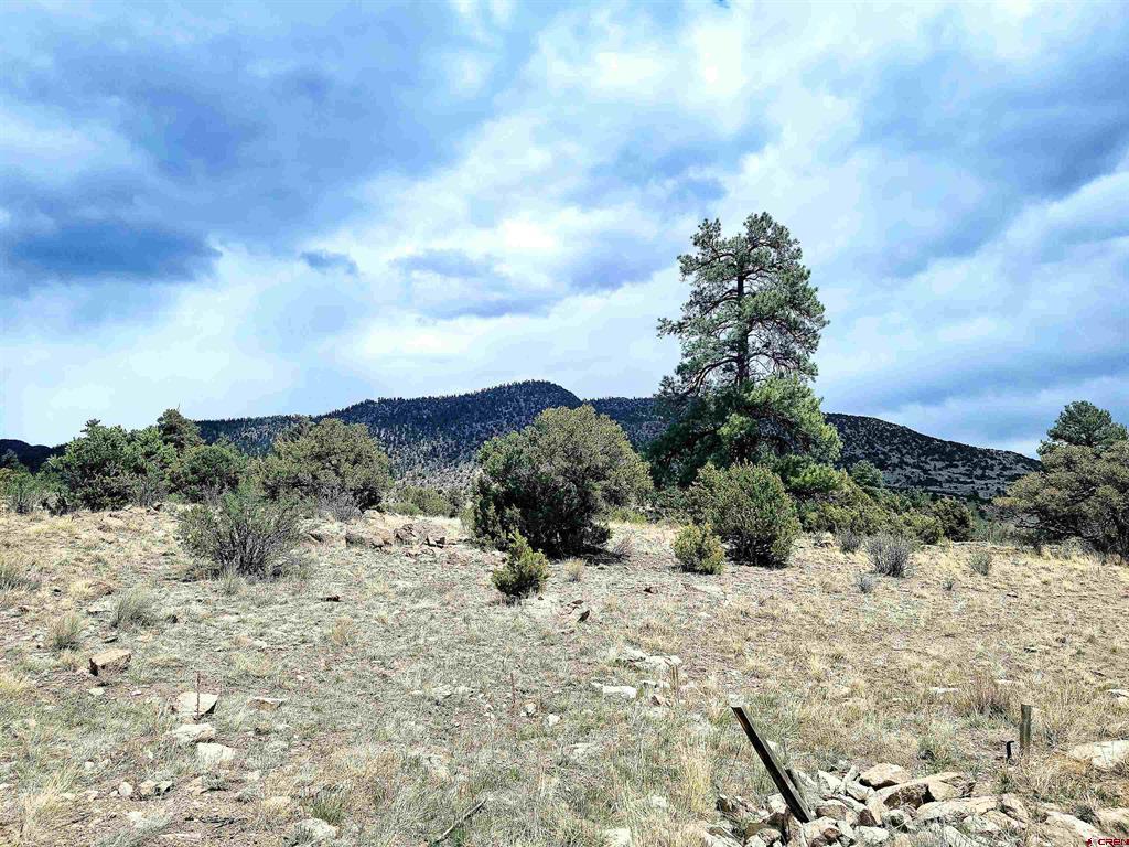 580 Blanca Vista Drive Lot 10 South Fork CO 81154