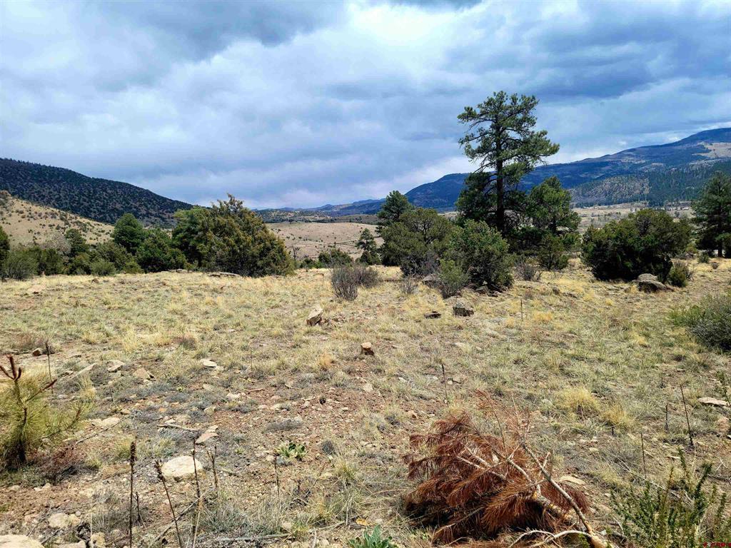 580 Blanca Vista Drive Lot 10 South Fork CO 81154