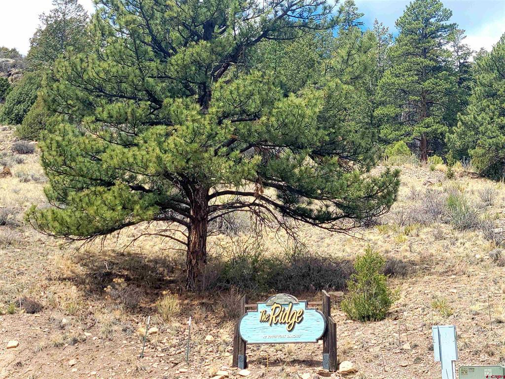 580 Blanca Vista Drive Lot 10 South Fork CO 81154
