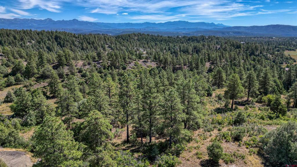 128 S Feather Court Pagosa Springs CO 81147