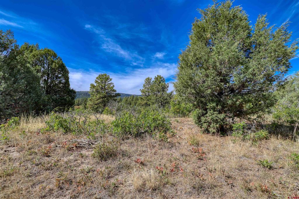 128 S Feather Court Pagosa Springs CO 81147