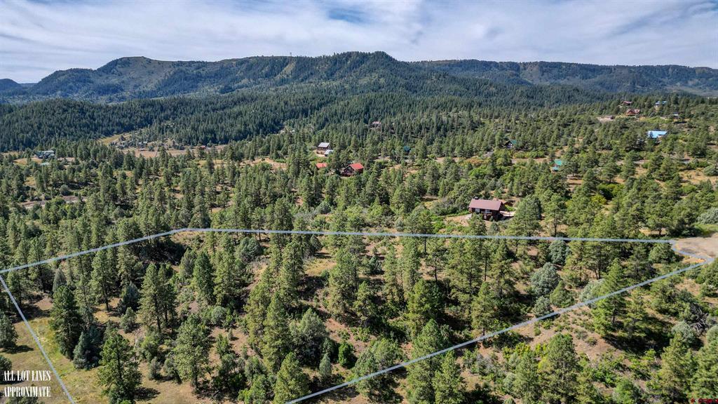 128 S Feather Court Pagosa Springs CO 81147