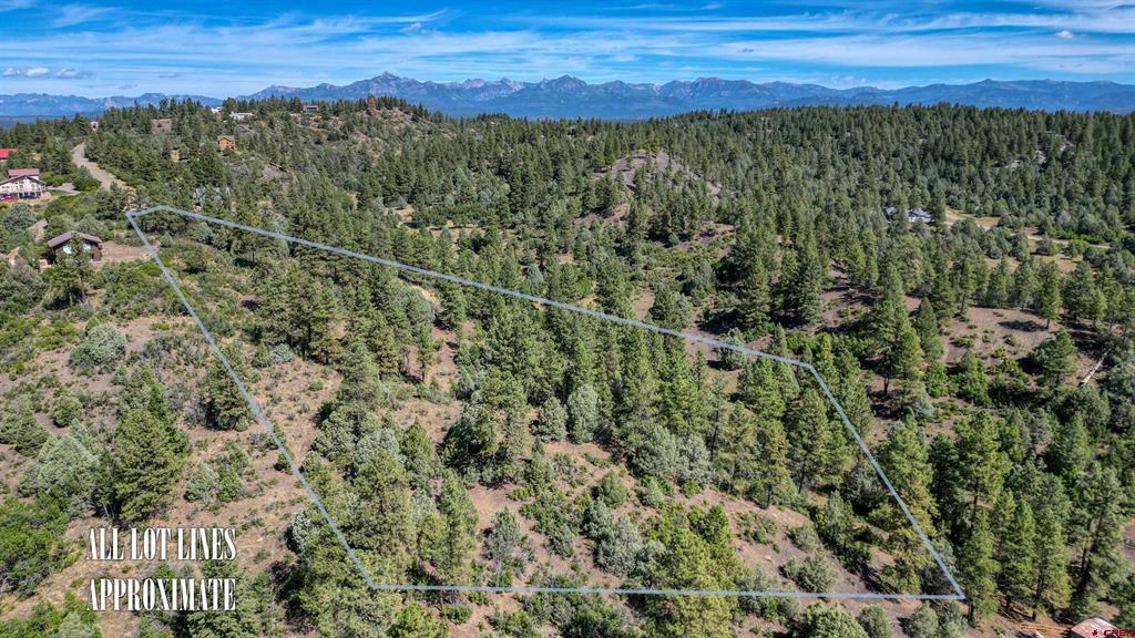 128 S Feather Court Pagosa Springs CO 81147
