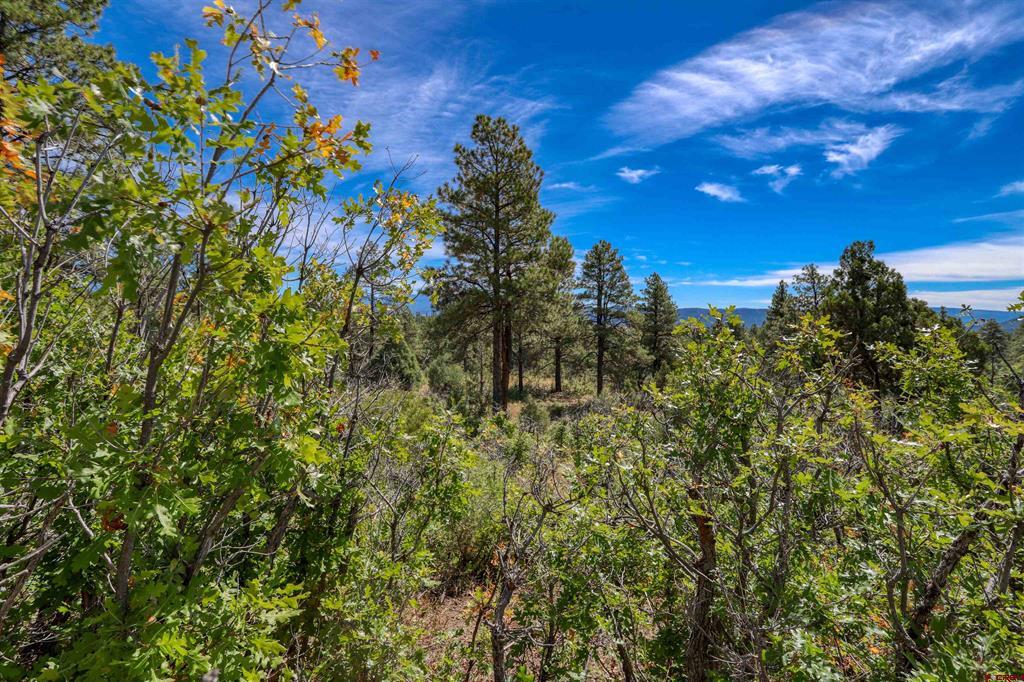 128 S Feather Court Pagosa Springs CO 81147