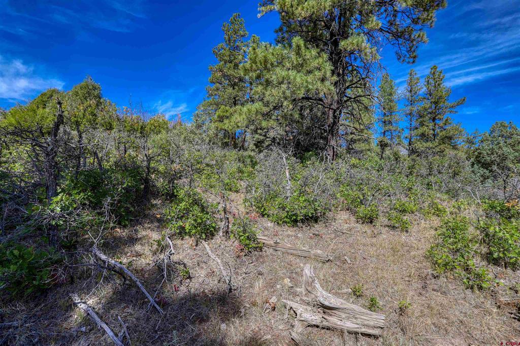 128 S Feather Court Pagosa Springs CO 81147