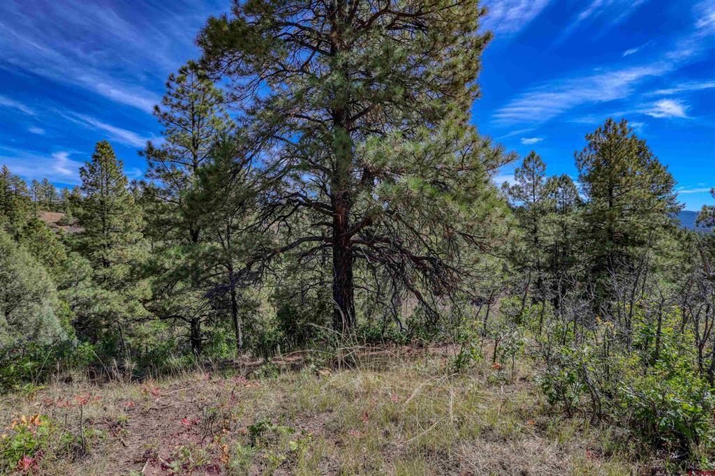 128 S Feather Court Pagosa Springs CO 81147