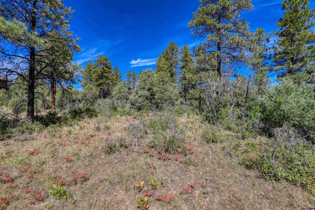 128 S Feather Court Pagosa Springs CO 81147