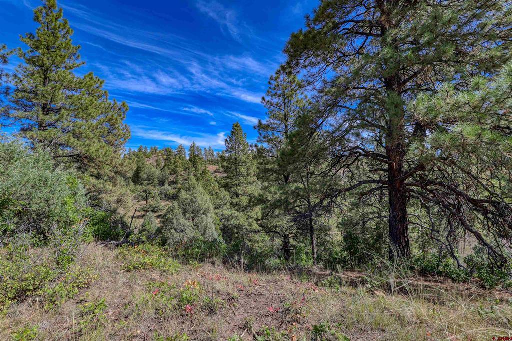 128 S Feather Court Pagosa Springs CO 81147