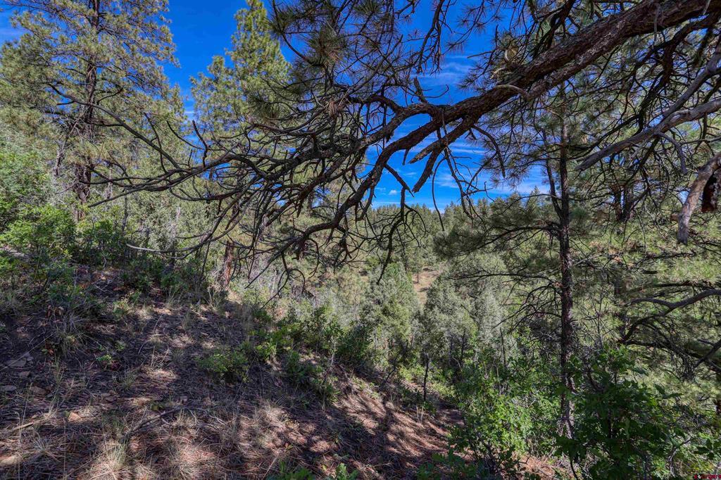 128 S Feather Court Pagosa Springs CO 81147