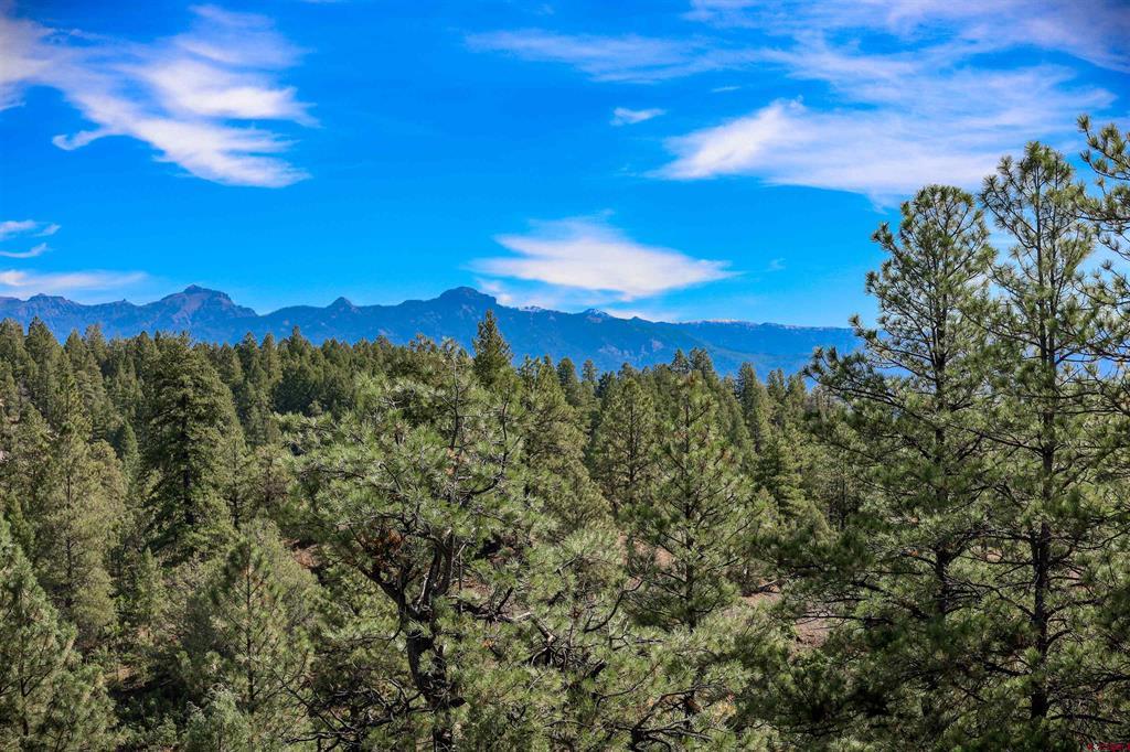128 S Feather Court Pagosa Springs CO 81147