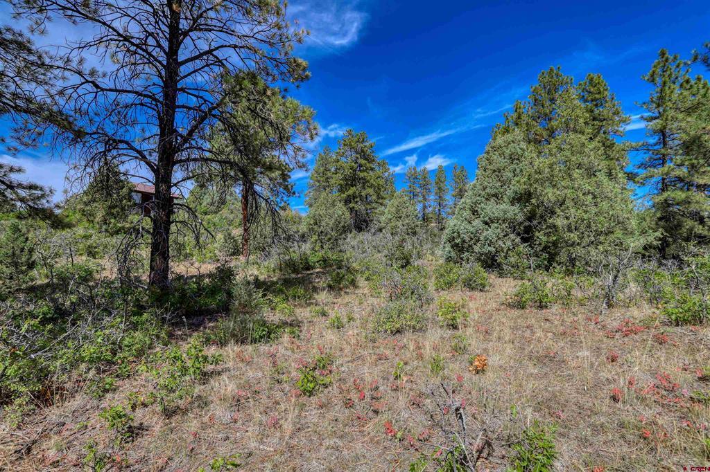 128 S Feather Court Pagosa Springs CO 81147