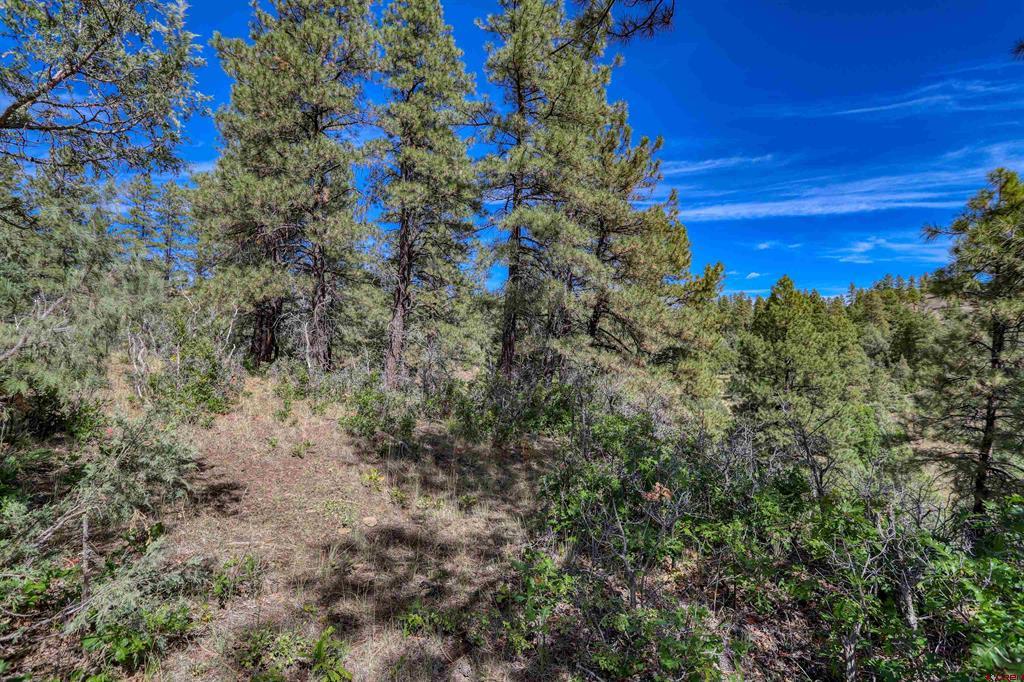 128 S Feather Court Pagosa Springs CO 81147