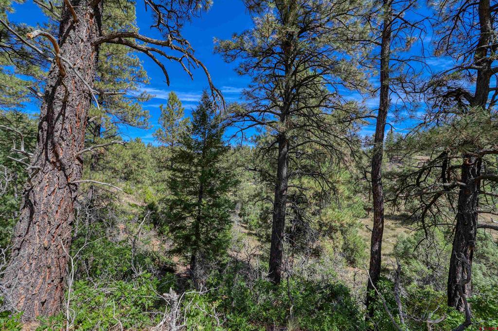 128 S Feather Court Pagosa Springs CO 81147