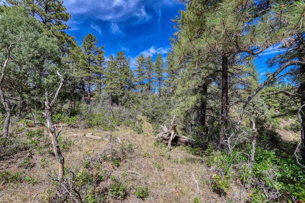 128 S Feather Court Pagosa Springs CO 81147